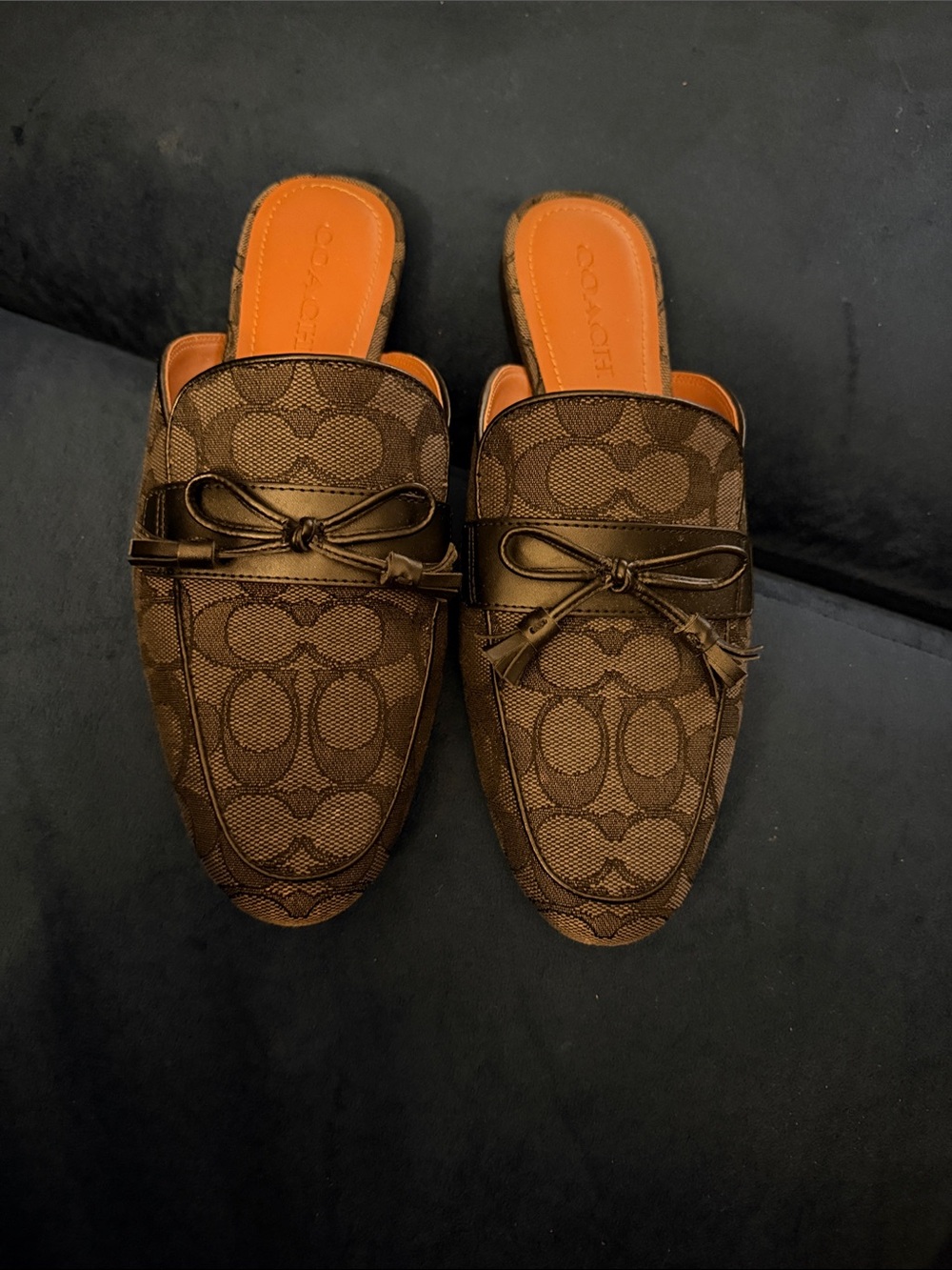Coach black Signature Canvas Backless Loafers